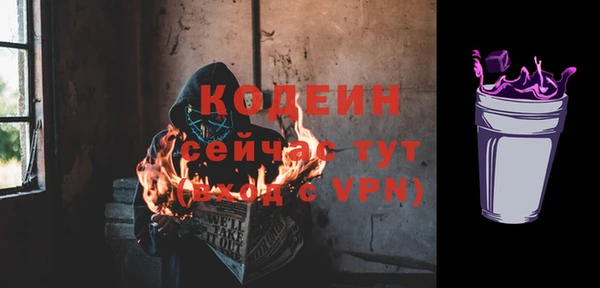 дживик Иннополис