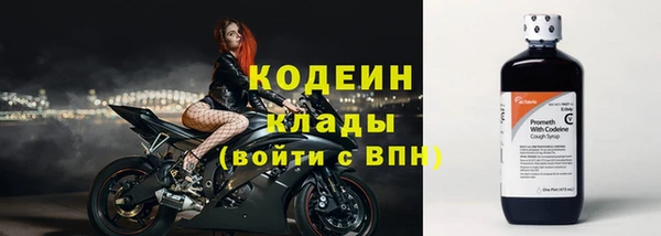 дживик Иннополис