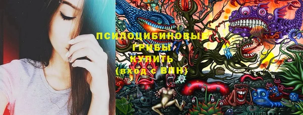 герыч Инта