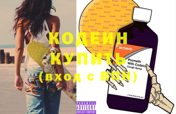 дживик Иннополис