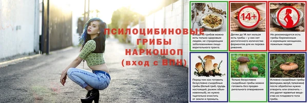 герыч Инта