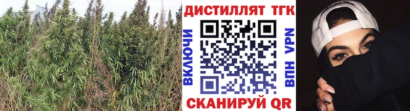 Дистиллят ТГК гашишное масло  Купить где  Всеволожск 