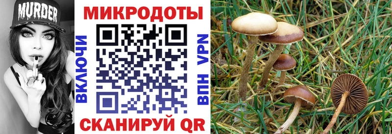 Псилоцибиновые грибы ЛСД  Купить  Всеволожск 